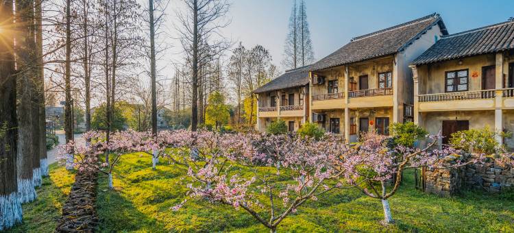 乌镇乌村酒店图片