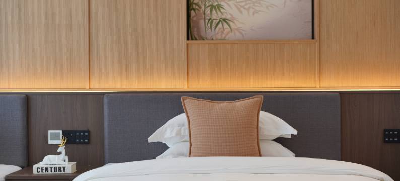 悦栖云宿(阳朔西街十里画廊店)图片