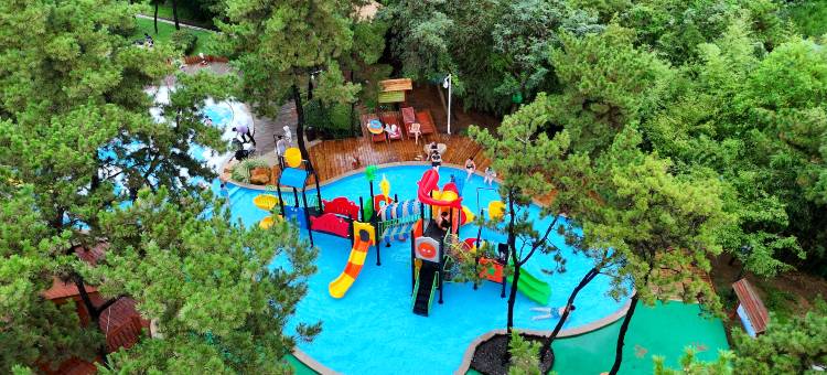 东海森林温泉度假酒店图片