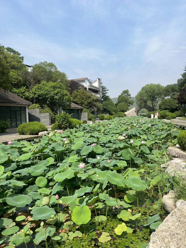 云榭阁观湖民宿(徐州云龙湖风景区店)图片