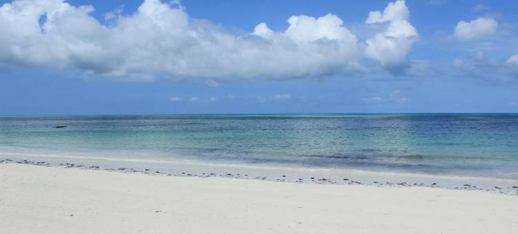 JAZ Adonia Beach Resort(Jaz Adonia)图片