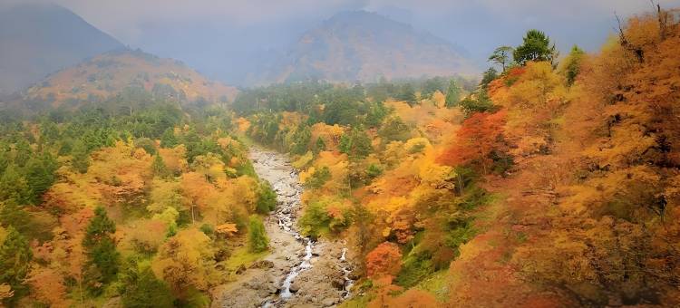 川藏驿站(雅安天全喇叭河镇紫石关村店)图片
