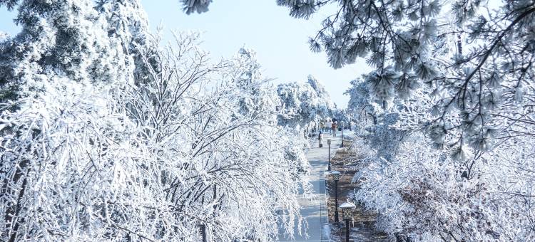 新昌天姥山天姥隐酒店图片