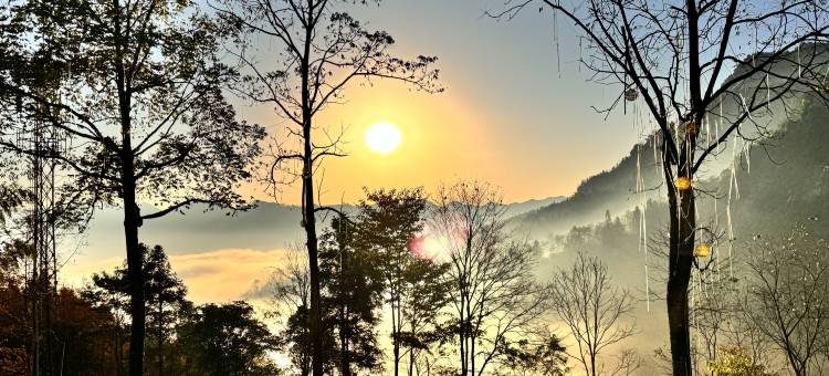 花水湾千竹里·雲上汤泉民宿图片