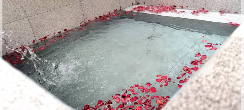 太白山无山居· 太漫漫温泉私汤山墅图片