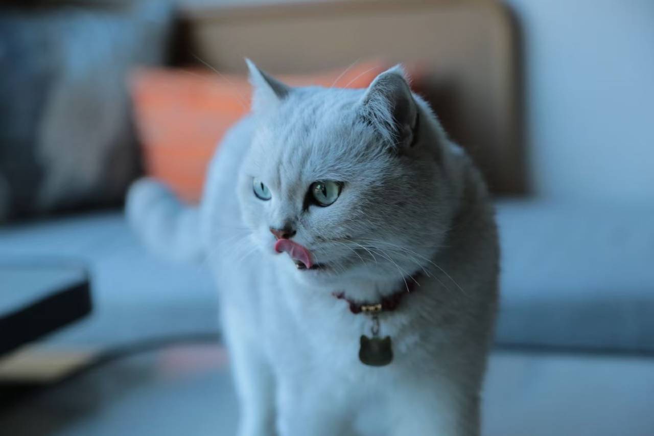 冬悦里酒店(绍兴鲁迅故居仓桥直街店)图片