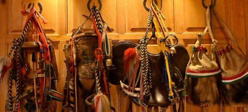 马店·藏式艺术美景度假美宿(香格里拉松赞林寺店)图片