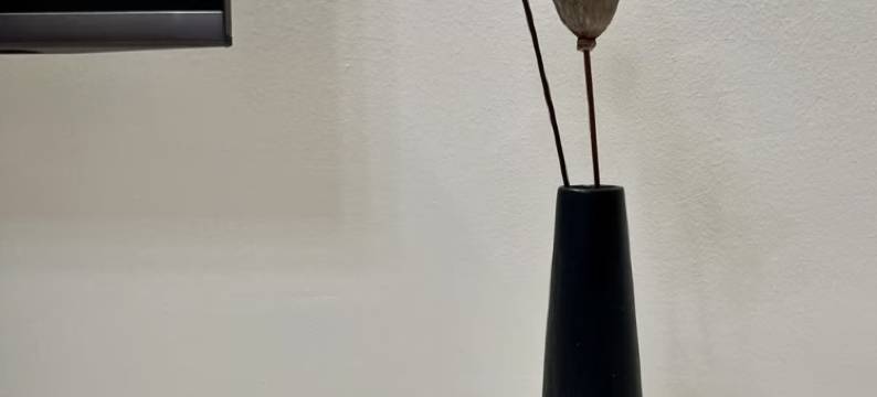 厦门|遇见观客SeasideCourtyard亲子民宿(植物园店)图片