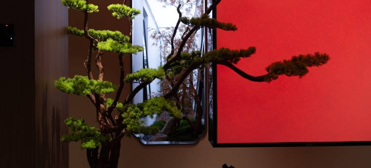 禧悦设计师HOTEL(二马路美食街中山渡口店)图片