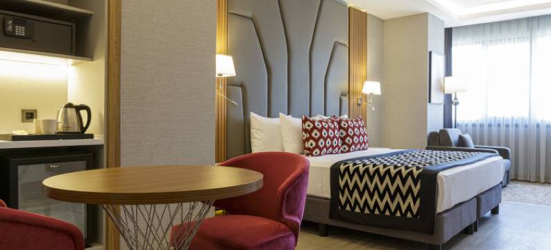 伊斯坦布尔希什利温德姆华美达安可酒店(Ramada Encore by Wyndham Istanbul Sisli)图片