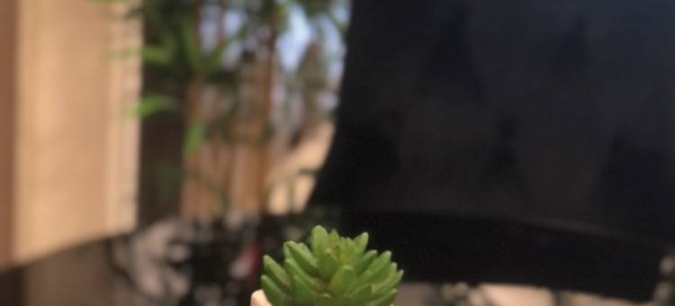 花莲凯悦精典旅店图片