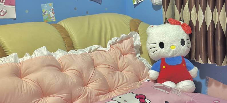 嵩明梦旅人酒店(杨林大学城店)图片