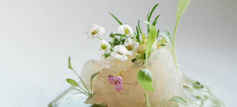 雪峰野外套房温泉总部(Snow Peak FIELD SUITE SPA HEADQUARTERS)图片