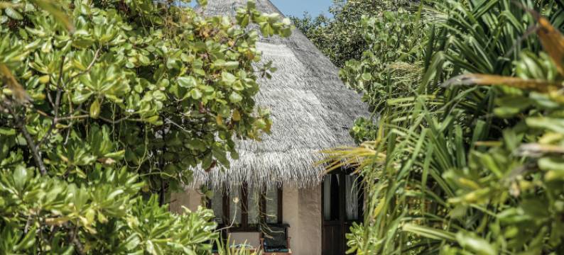 可可棕榈杜尼克鲁酒店(Coco Palm Dhuni Kolhu)图片