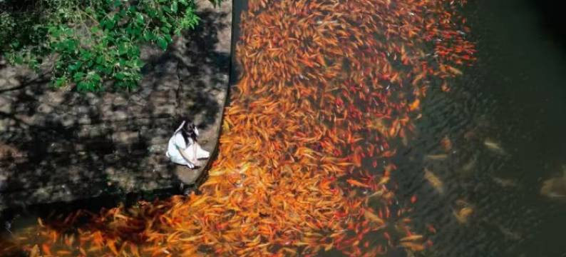 楠溪若舍民宿图片