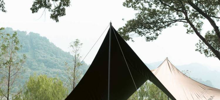 杭州临安青山湖雷迪森庄园图片