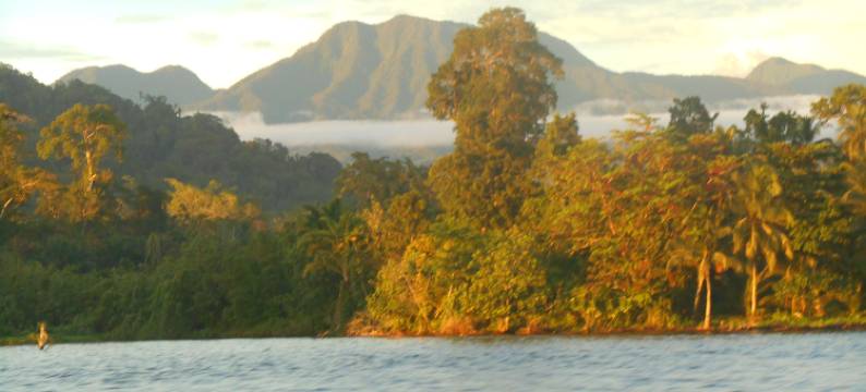 勒莱纳度假村 科隆班加拉(Leleana Resort Kolombangara)图片