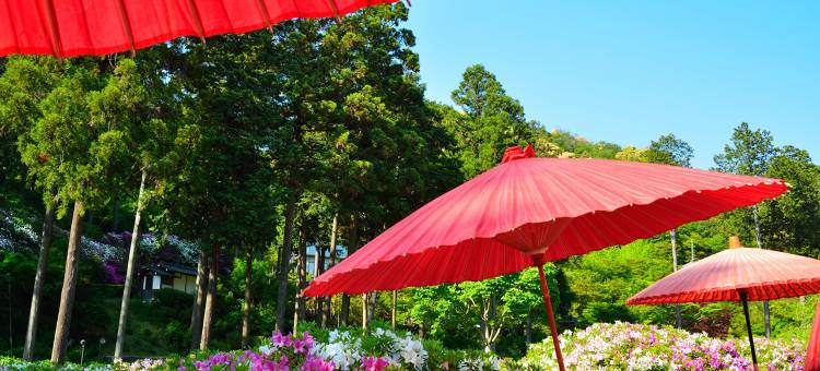 JR宇治站前潮流酒店(Hotel Trend Jr Uji Ekimae)图片