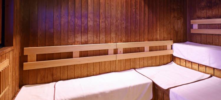 Dormy Inn快捷酒店-三河安城天然温泉(Dormy Inn Express Mikawaanjo)图片