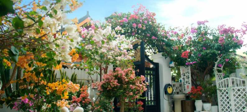 温州花香海岸别墅图片