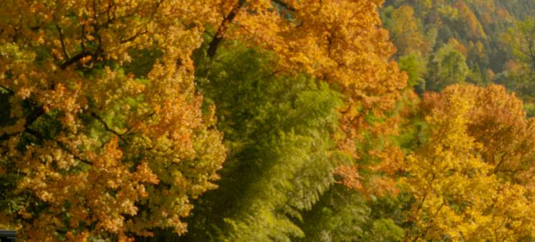 婺源然坞精品民宿图片