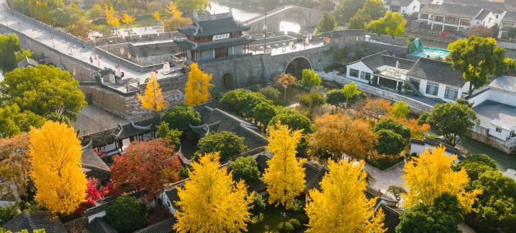 苏州中心大酒店图片