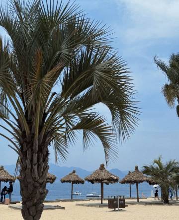 抚仙湖·品悦酒店(月亮湾湿地公园店)图片