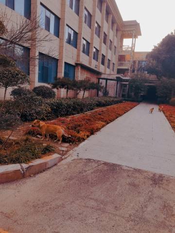 安阳吉丽东堂酒店(龙安万达广场安钢大道店)图片