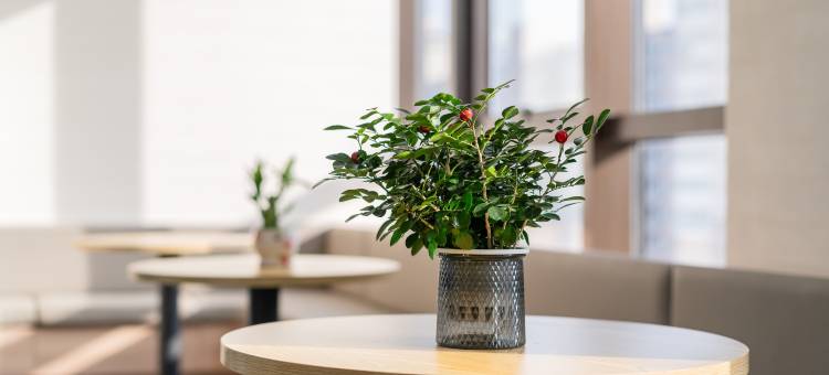 嘻雅途青年酒店(北京鸟巢安立路地铁站店)图片