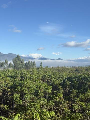 山语岚庭·智能Life轻奢设计美宿(丽江三义国际机场店)图片