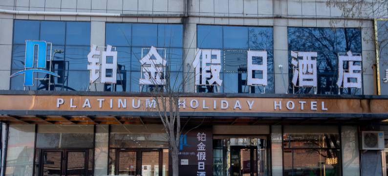 大名铂金假日酒店(大名明清古城店)图片