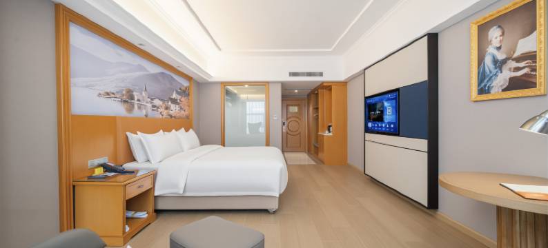 维也纳酒店(洛阳九都路万达店)图片