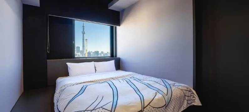 旅之棲浅草酒店(HOTEL TAVINOS Asakusa)图片