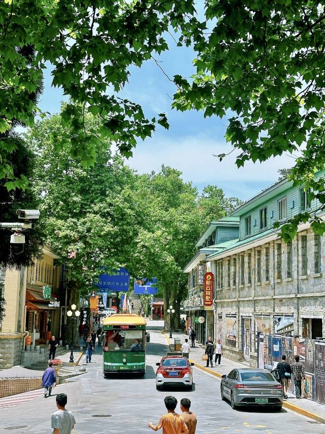 柏云别墅(庐山风景名胜区牯岭镇店 )图片