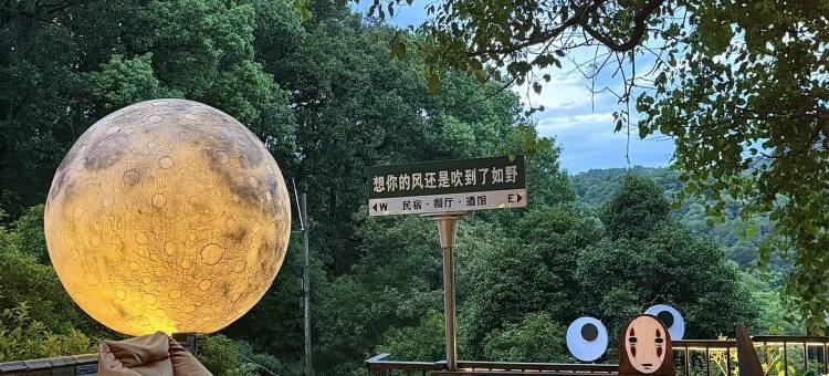 杭州如野民宿(西湖风景区太子湾公园店)图片