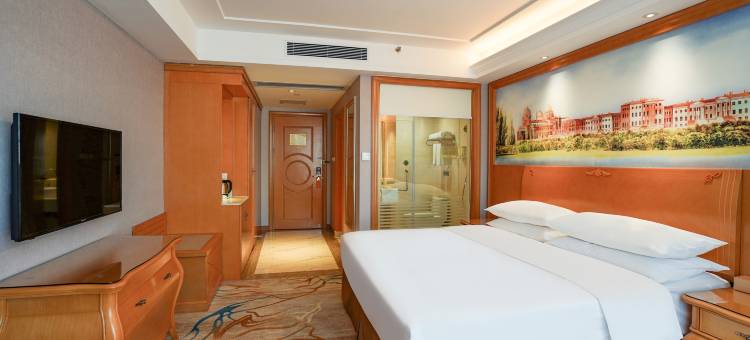 维也纳酒店(中山坦洲店)图片