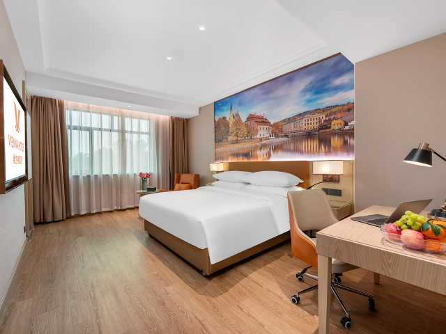 Vienna Hotel (HuiZhou Boluo Futian)Over view