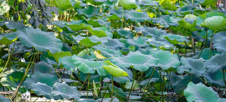 乐轰趴·Highomepa漫居泳池轰趴馆图片