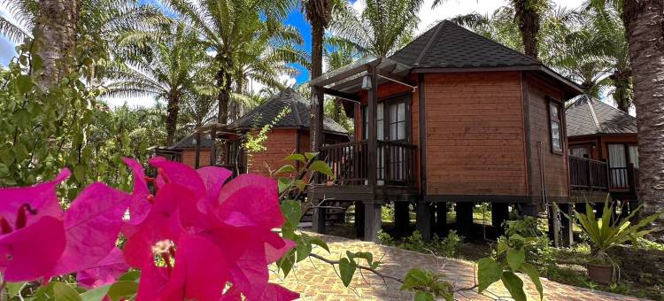 菠萝的海.度假别墅(中文管家服务+免费酒店往返镇上/码头班车)(OPINE.VILLAS)图片