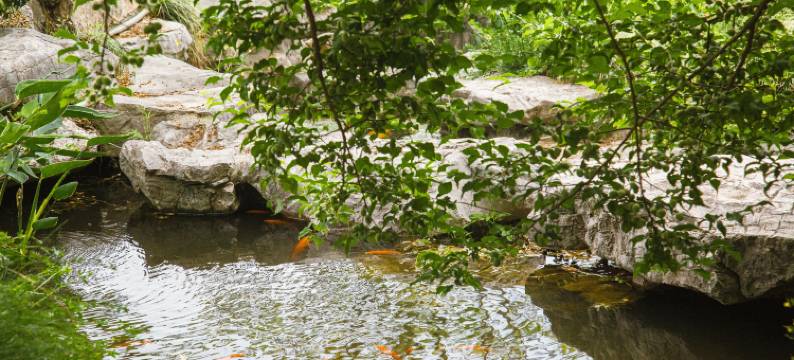 溧阳戴埠绿乡民宿图片