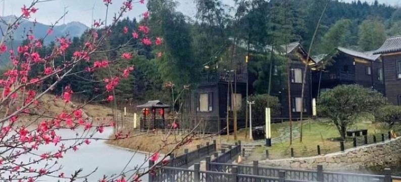 云冰山依依不捨客栈图片