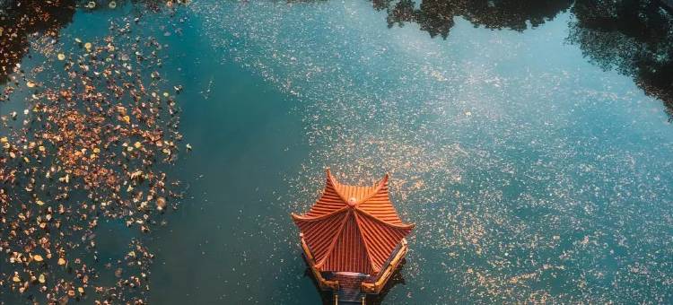 杭州西湖风景区龙翔桥地铁站和颐至尊酒店图片