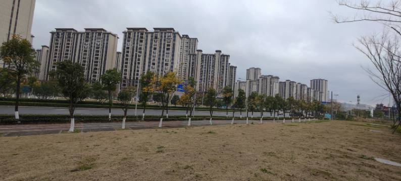 格里菲斯酒店(观山湖北师大附属中店)图片