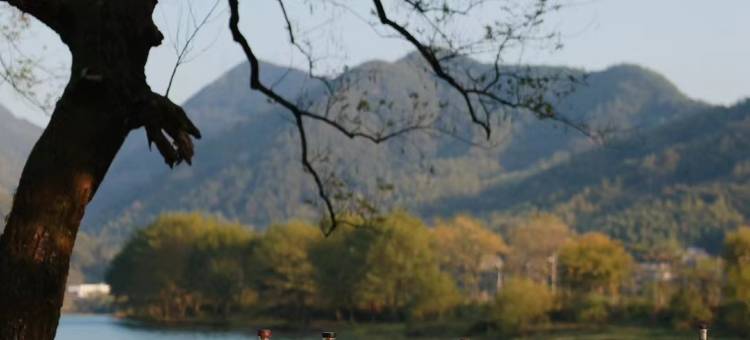 灵栖自然酒店图片