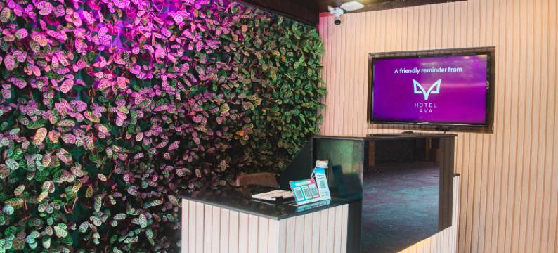 艾娃马拉提酒店(Hotel Ava Malate)图片