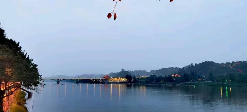 乐山枫驿酒店(张公桥美食街店)图片