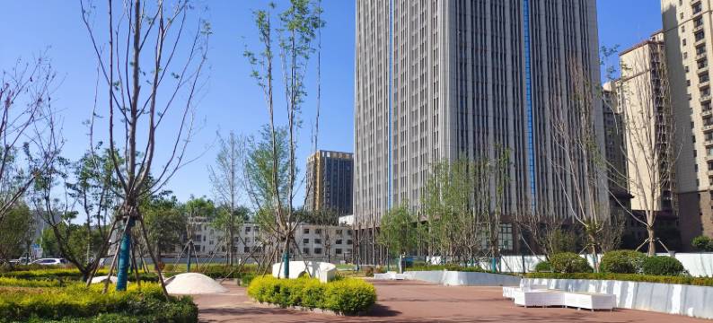 枫林湾民宿(石家庄金柳林外国语学校店)图片