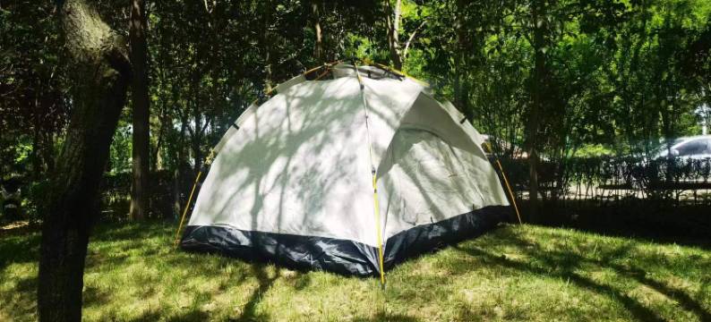 西安长安区竹影听风民宿图片