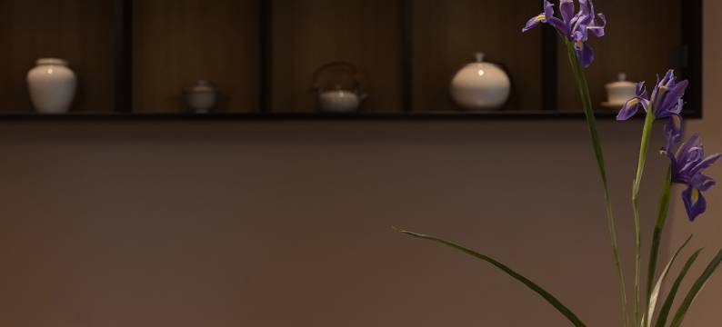 都江堰兰舍·花园民宿(青城山高铁站店)图片