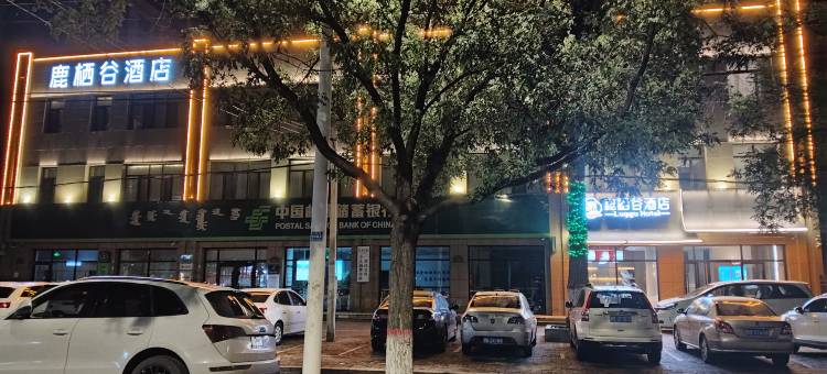 鹿栖谷酒店(包头赛罕塔拉一机店)图片